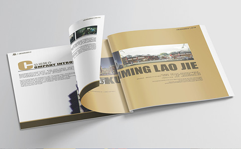 品牌設(shè)計(jì)公司，畫冊(cè)設(shè)計(jì)，vi設(shè)計(jì)，logo設(shè)計(jì)，廣告設(shè)計(jì)，平面設(shè)計(jì)